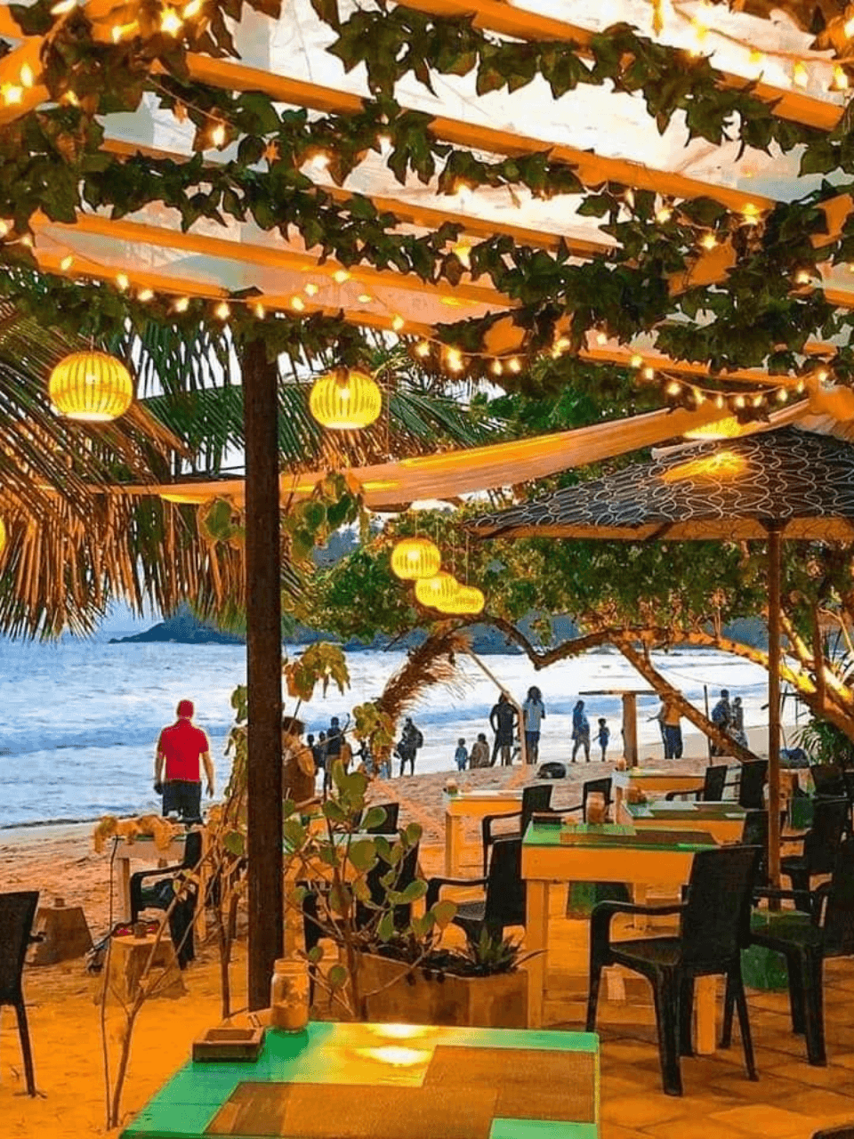 Diving & Snorkelling Tour (5 Days) - photo 10