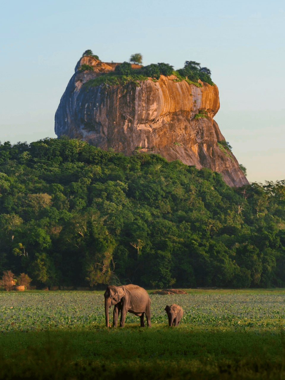 Youth Explorer — Sri Lanka Backpacker Tour (6 Days) - photo 5