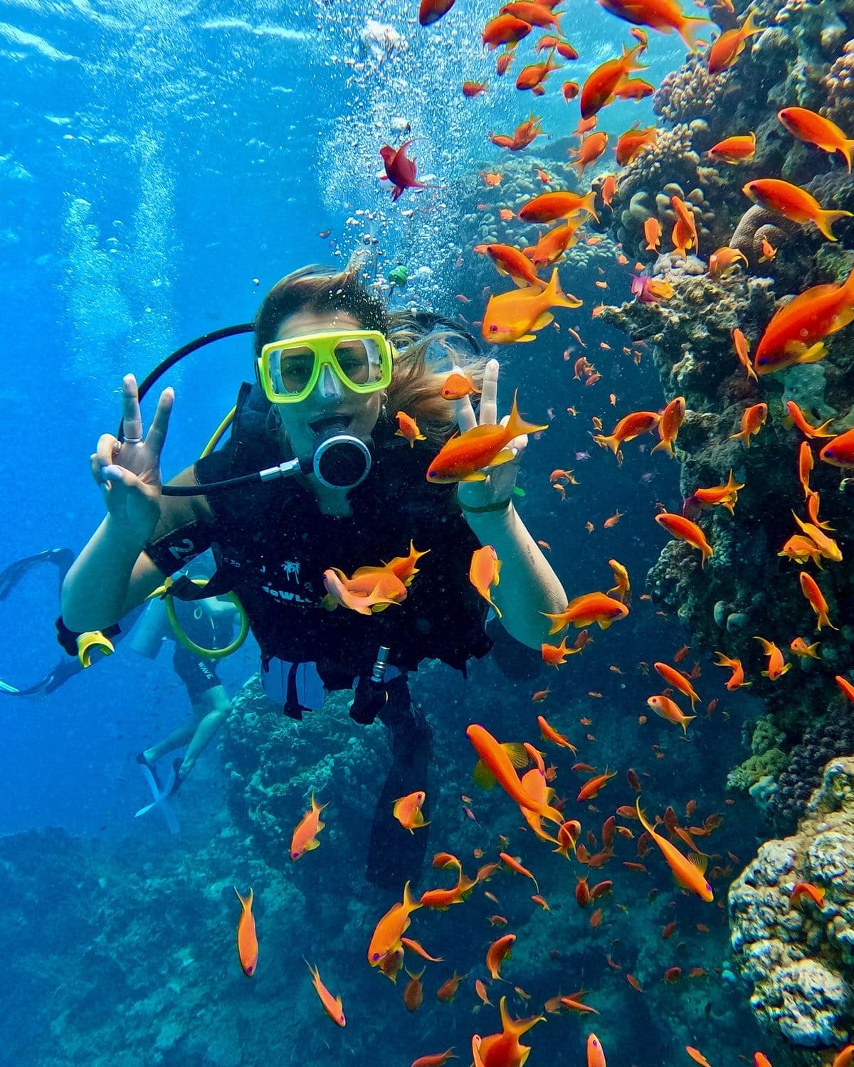 Youth Explorer — Sri Lanka Backpacker Tour (6 Days) - photo 8