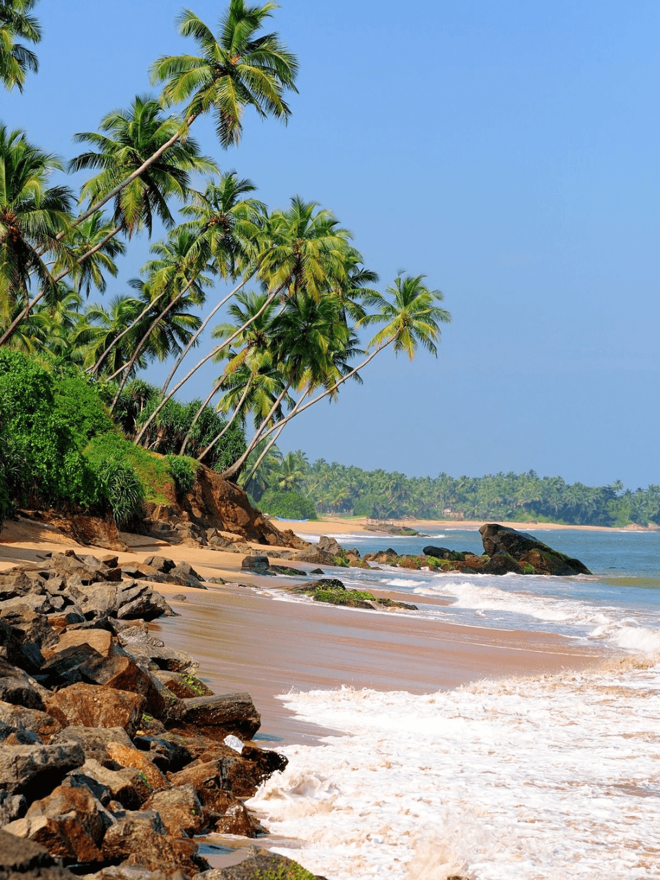 Sri Lanka Adventure & Wildlife Tour (8 Days) - photo 10