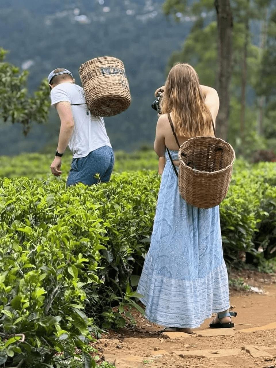 Luxury Wellness & Ayurveda Retreat (7 Days) - photo 5