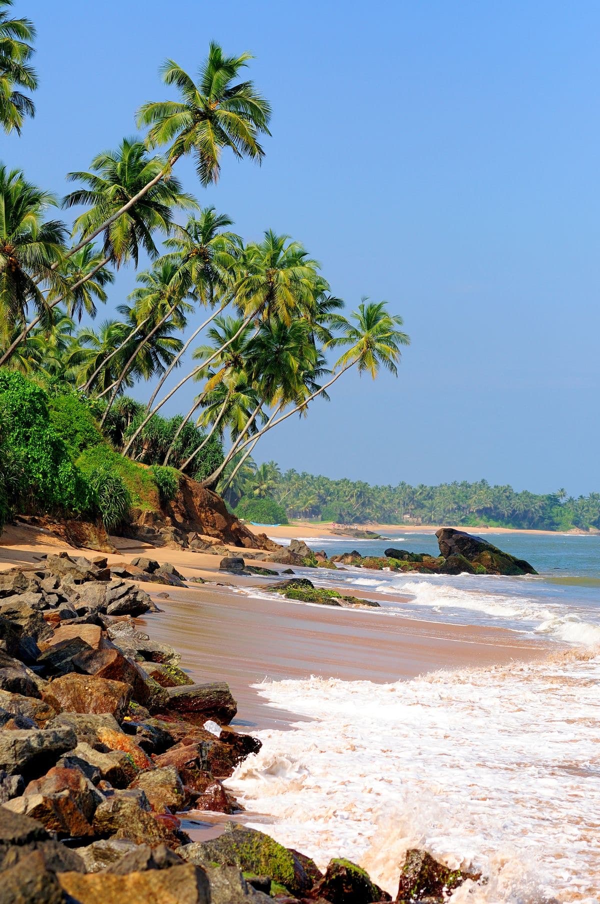 Classic Sri Lanka Tour (7 Days) - photo 10