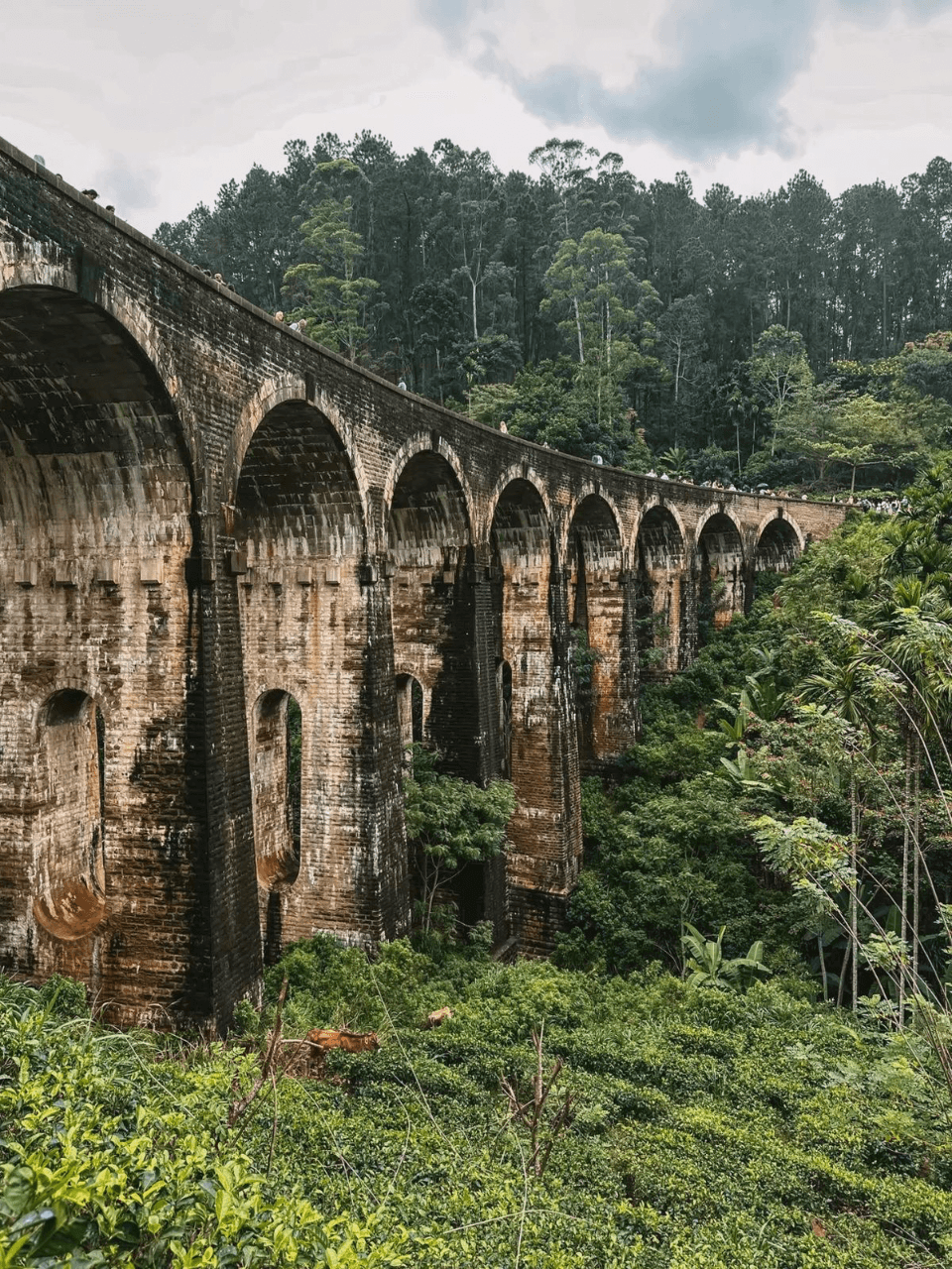 Ella – Scenic Hikes, Waterfalls & Nine Arch Bridge — gallery image 1