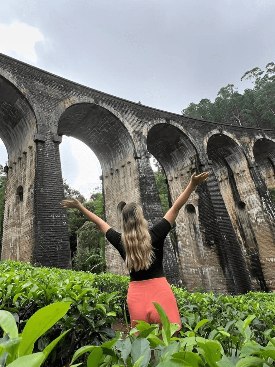 Ella – Scenic Hikes, Waterfalls & Nine Arch Bridge — gallery image 7