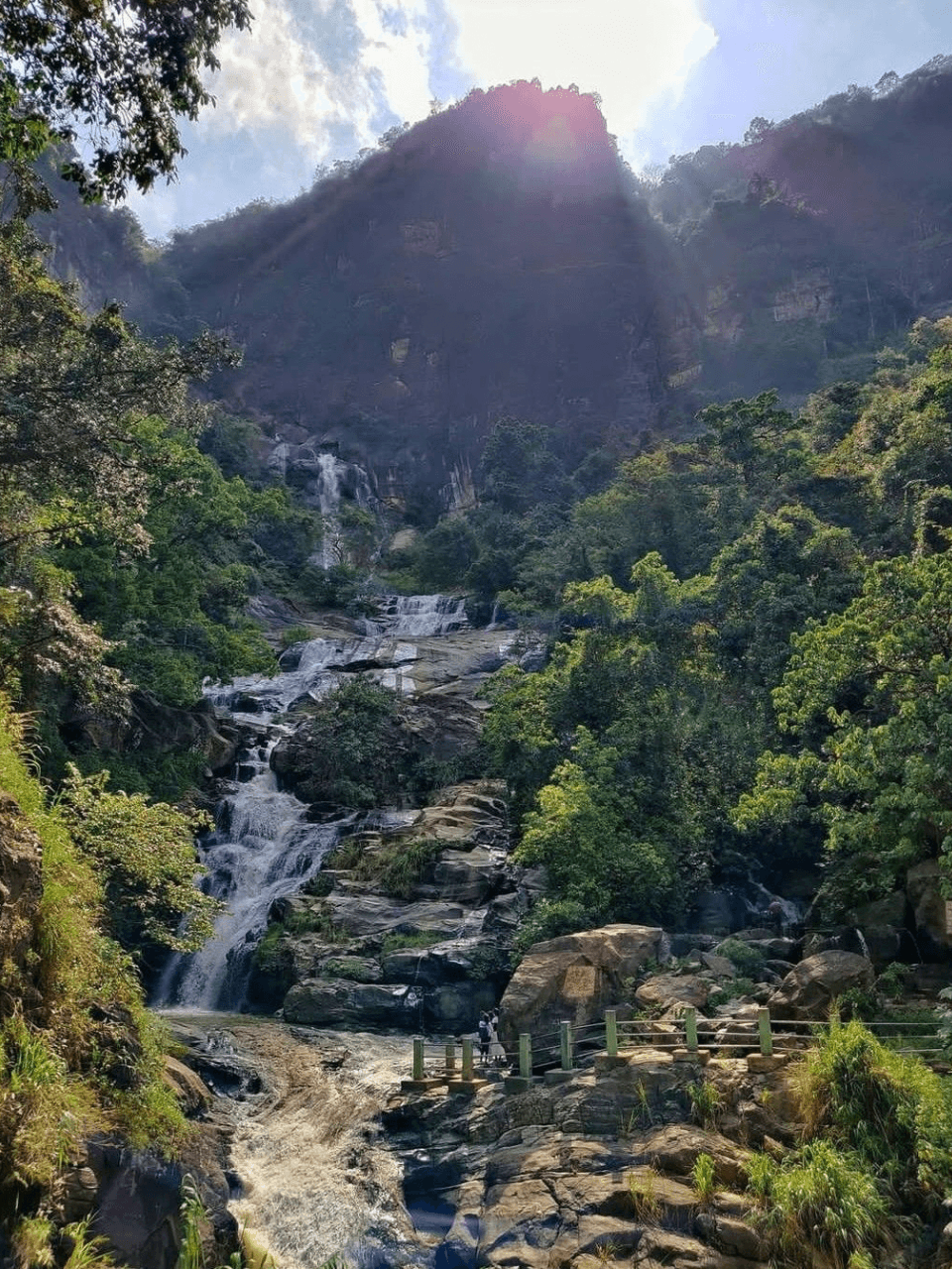 Ella – Scenic Hikes, Waterfalls & Nine Arch Bridge — gallery image 8
