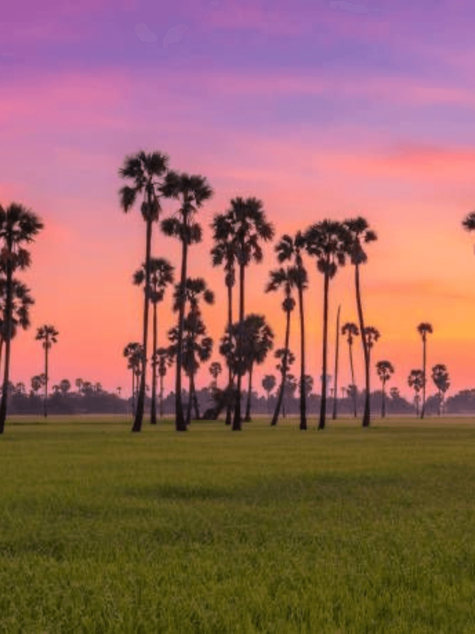 Jaffna – The Cultural Capital of the North