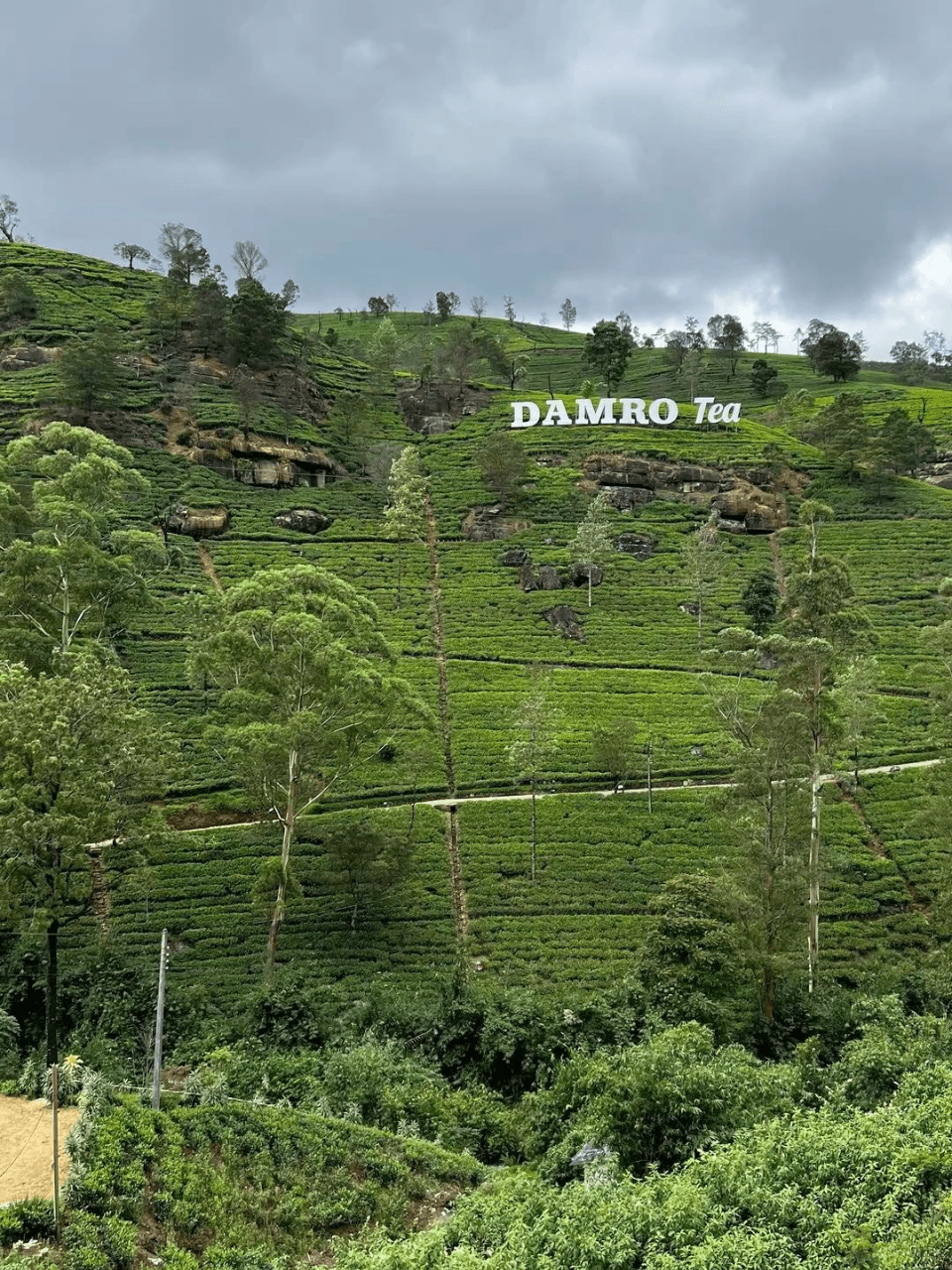 Nuwara Eliya – Little England of Sri Lanka — gallery image 7