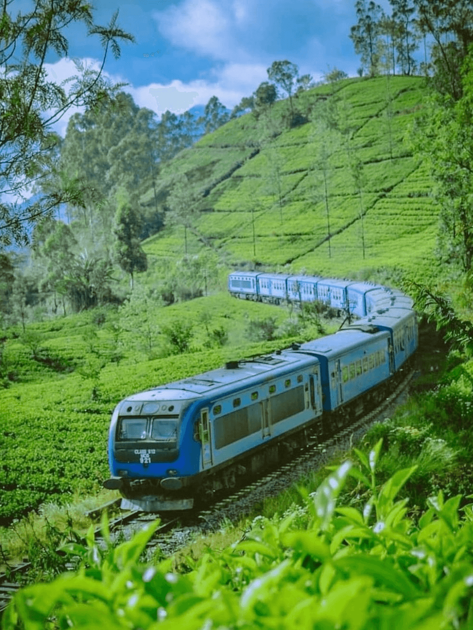 Nuwara Eliya – Little England of Sri Lanka — gallery image 8