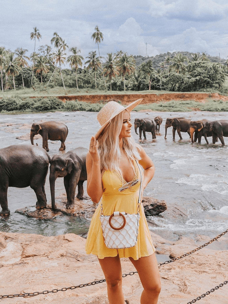 Pinnawala Elephant Orphanage – Meet Sri Lanka's Giants — gallery image 4