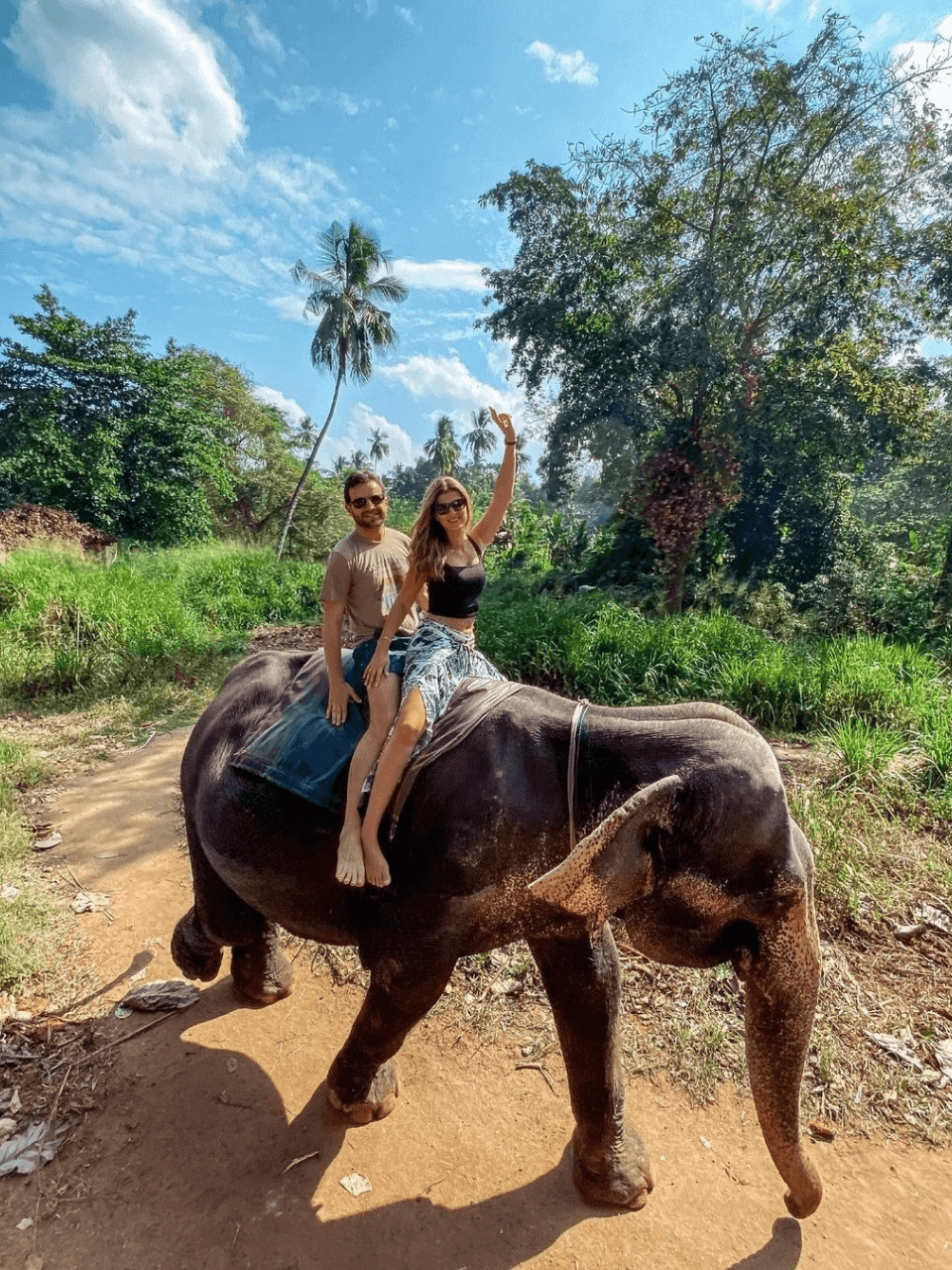 Pinnawala Elephant Orphanage – Meet Sri Lanka's Giants — gallery image 6