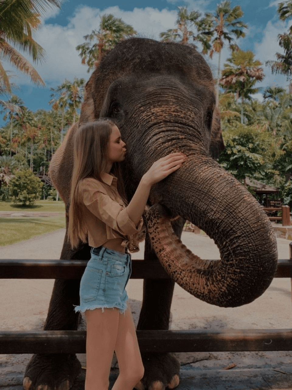 Pinnawala Elephant Orphanage – Meet Sri Lanka's Giants — gallery image 8