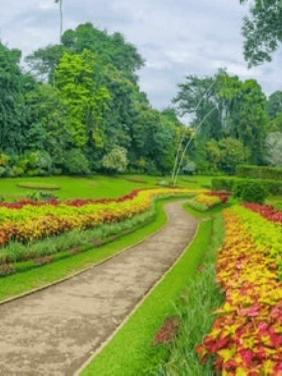 Peradeniya Royal Botanical Gardens – A Green Paradise — gallery image 2