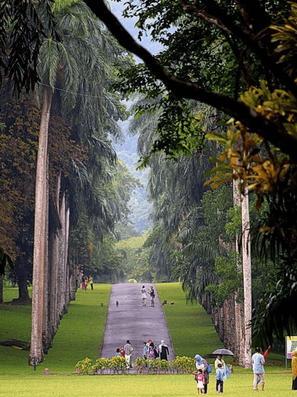 Peradeniya Royal Botanical Gardens – A Green Paradise — gallery image 3