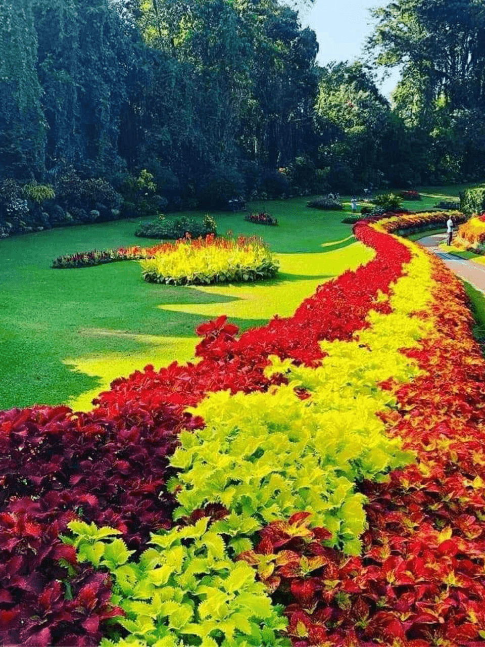 Peradeniya Royal Botanical Gardens – A Green Paradise — gallery image 4