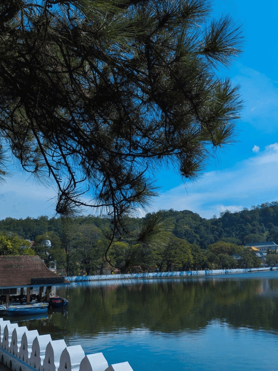 Kandy – The Cultural Heart of Sri Lanka — gallery image 7