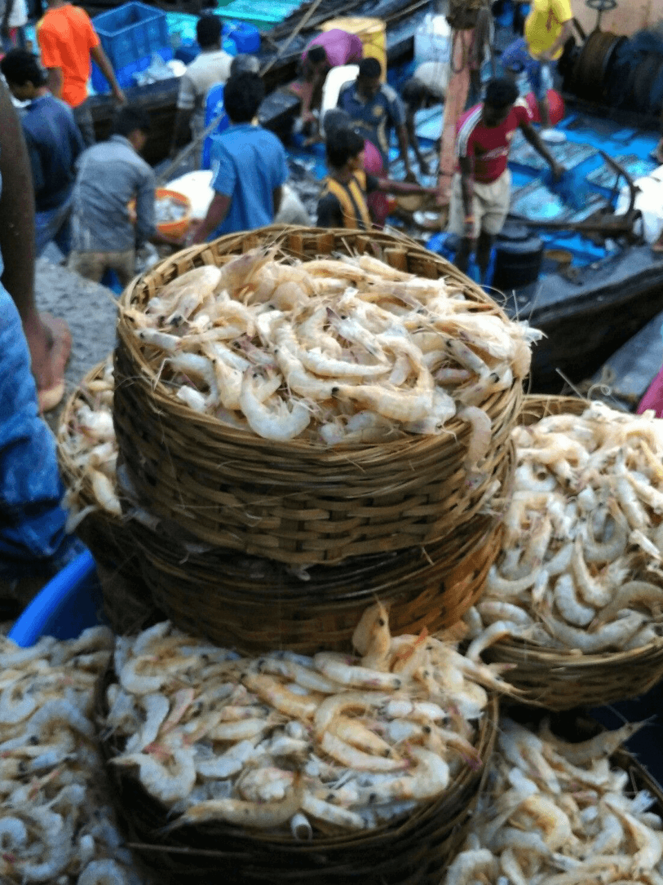 Negombo – The Beach Town Near the Airport — gallery image 2