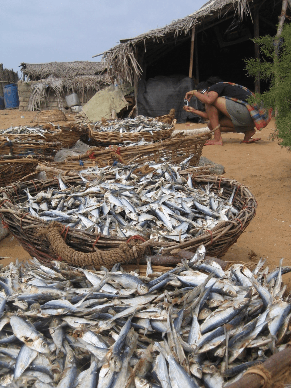 Negombo – The Beach Town Near the Airport — gallery image 3