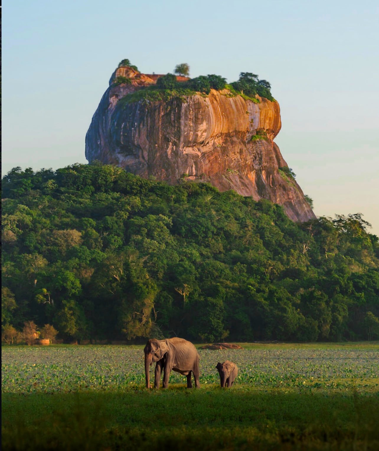 Beautiful Sri Lanka scenery