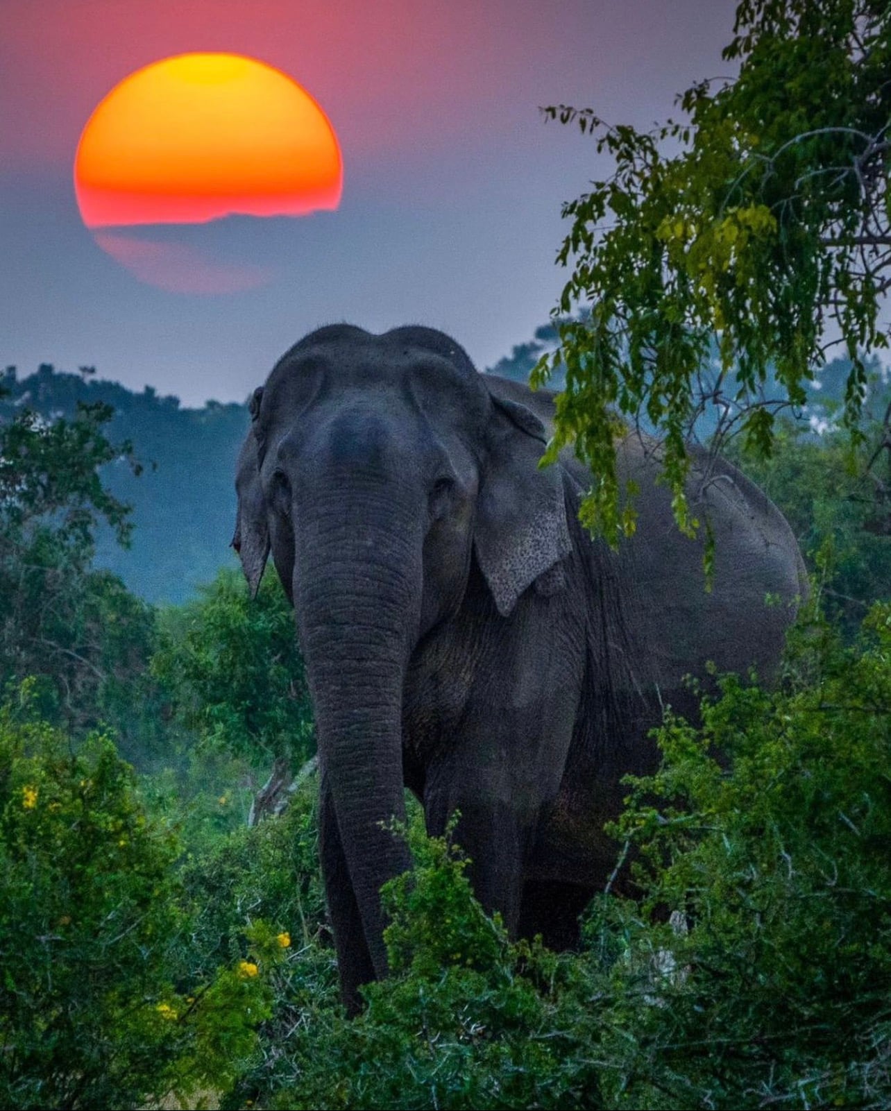 Sri Lanka travel destination
