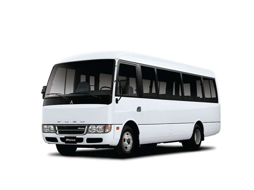 Fuso Rosa (Small Bus) - photo 3