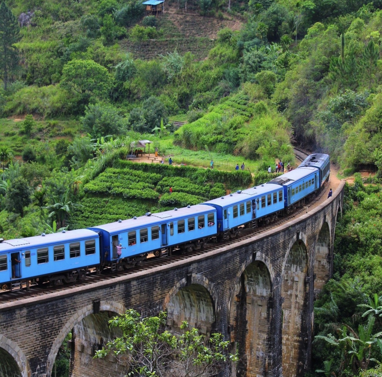 Stunning Sri Lanka landscape