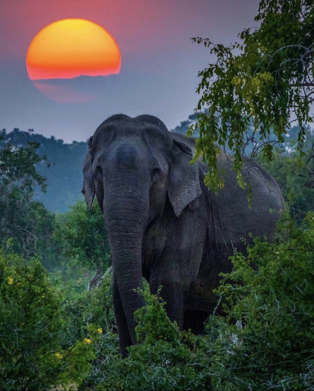 Sri Lanka travel destination