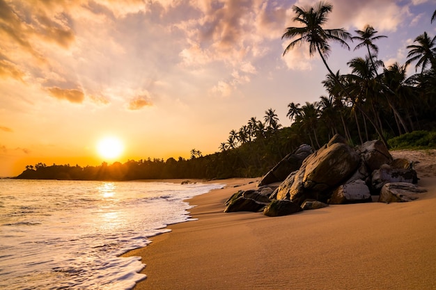 Explore Sri Lanka with Happy Island Tours