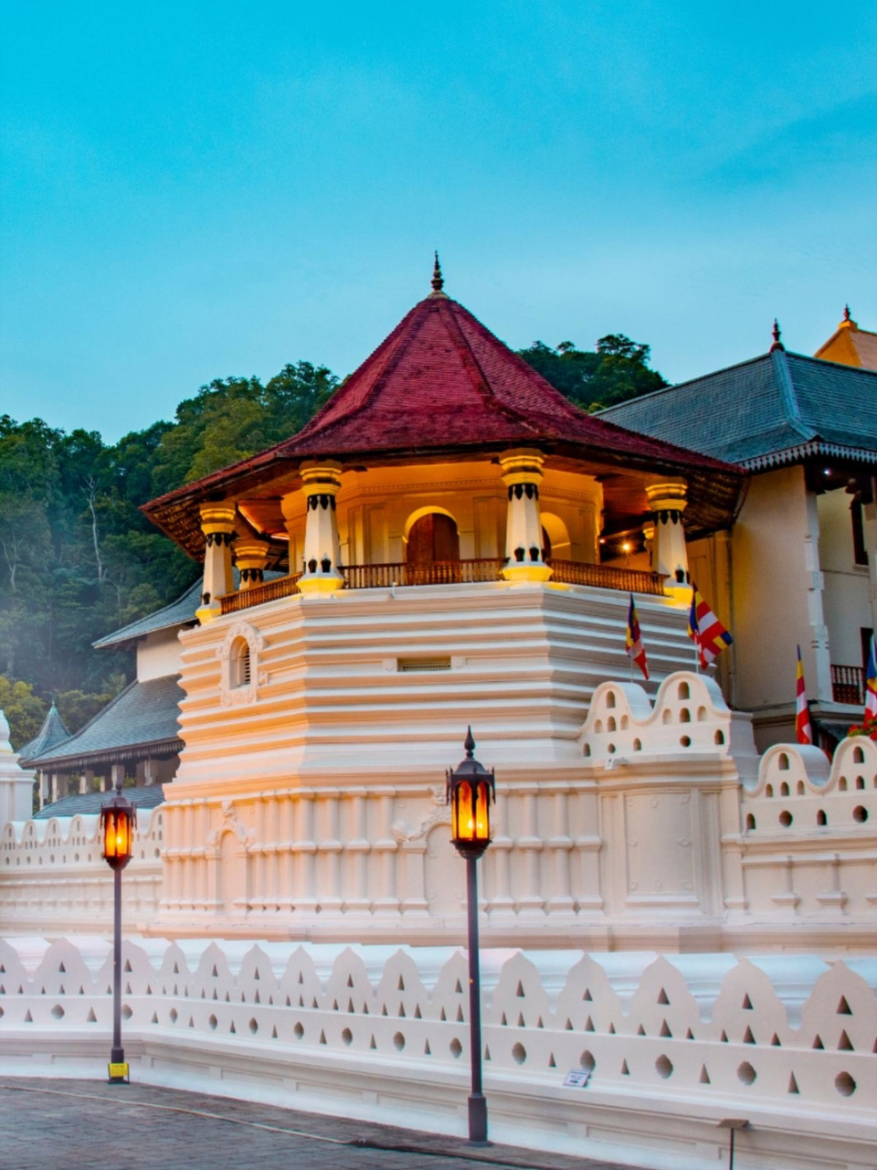 Sri Lanka tour experience